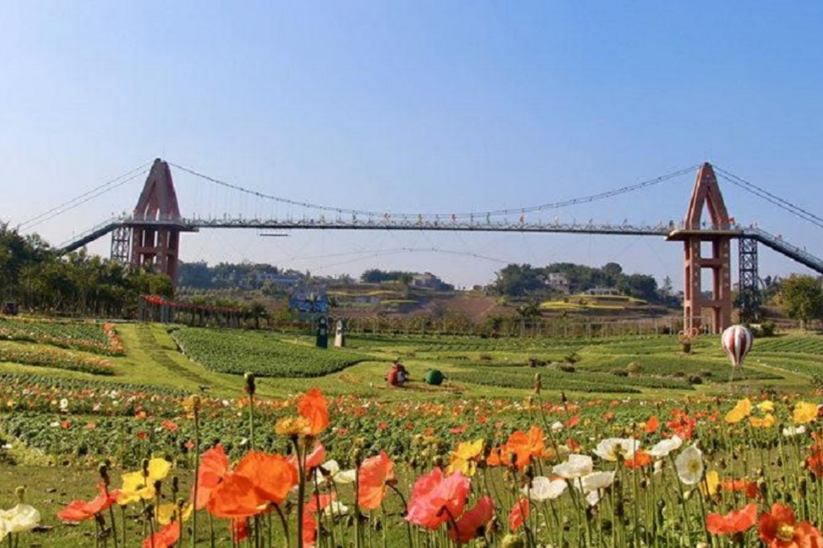 Southern Sichuan Flower Sea